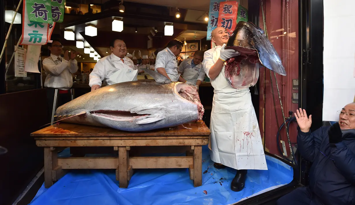 Pekerja jaringan restoran sushi ternama Sushizanmai memegang bagian ikan tuna sirip biru seberat 276 kg yang dibeli perusahaannya di restoran utama mereka di Tokyo, Minggu (5/1/2020). Tuna raksasa itu dibeli dalam lelang perdana 2020 dengan harga sekitar Rp 24 miliar. (Kazuhiro NOGI / AFP)