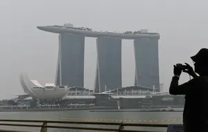 Asap Karhutla Sampai Negara Tetangga, Ini Respons Istana