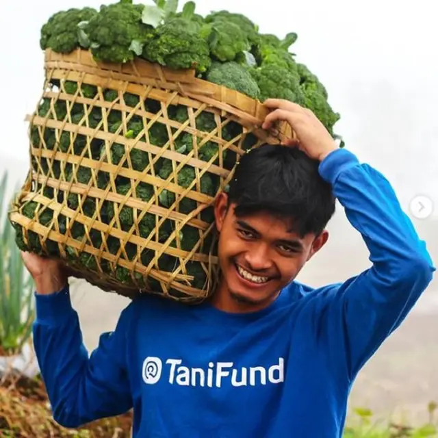 Petani