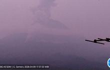 Gunung Semeru Erupsi: Awan Panas Meluncur 2.500 Meter, Status Siaga Ditetapkan