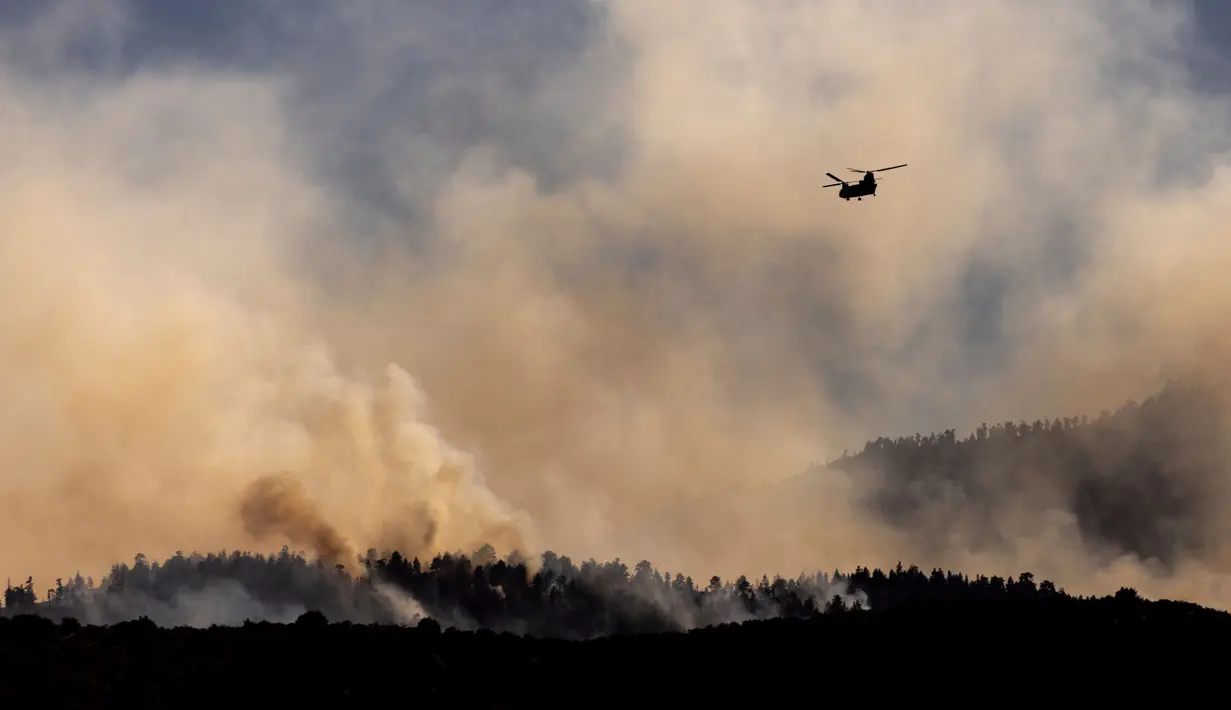 Upaya pemadaman terus dilakukan, termasuk dari udara. (ETIENNE LAURENT/AFP)