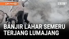 Banjir lahar dingin disertai letusan sekunder Gunung Semeru kembali menerjang aliran Curah Kobokan, Desa Sumber Wuluh, Kecamatan Candipuro, Lumajang, Minggu petang (23/11).