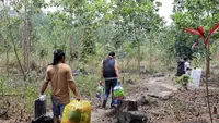 Lahan Sawit Ilegal Ditemukan di Bukit Tengkorak