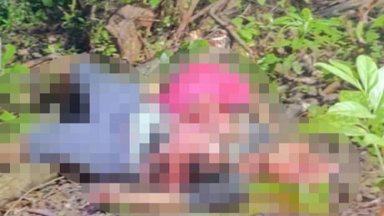 Kakak beradik di Pesisir Barat ditemukan tewas dengan kondisi tak wajar
