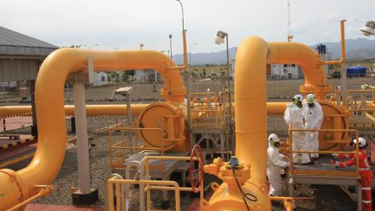 Pemerintah kaji ulang kenaikan harga gas industri  
