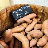 ilustrasi/copyright pixabay.com