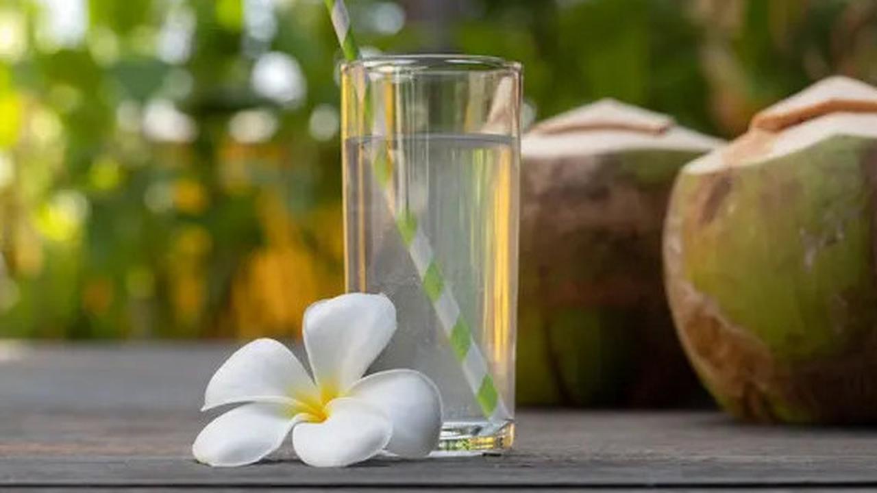 Manfaat Air Kelapa dalam Meredakan Asam Urat, Cocok Jadi Sajian Segar di Hari Lebaran