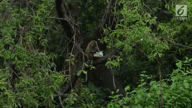 Taman Wisata Alam Mangrove