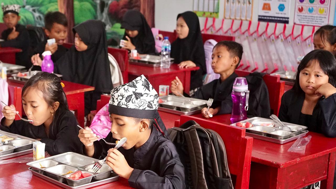 Viral Ompreng MBG yang Diimpor dari China Diduga Mengandung Minyak Babi dan Bahan Berbahaya