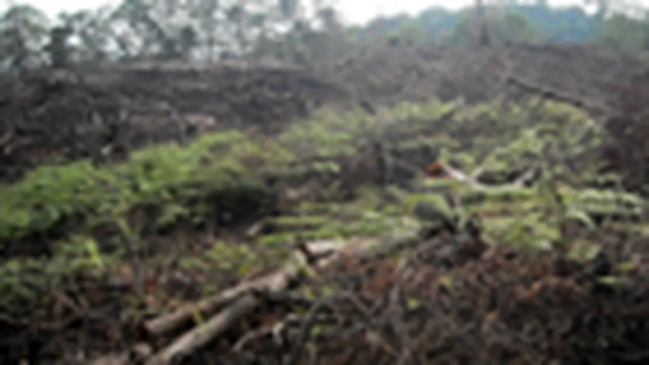 Tangisan Bukit Barisan