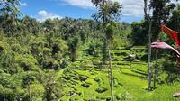 Desa Tetebatu, Masbagik, Lombok Timur, Nusa Tenggara Barat (NTB). (dok. Instagram @jobbaman/https://www.instagram.com/p/CQ3Q2PTlOAL/)