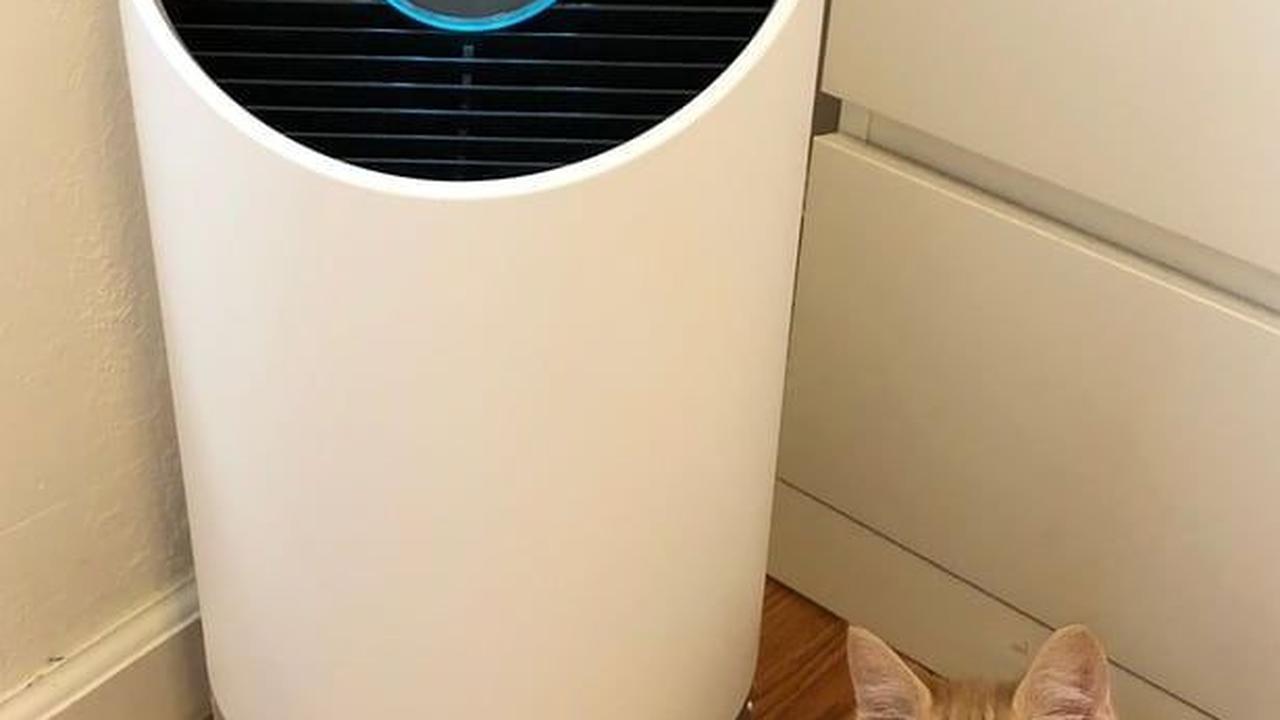 Gunakan <i>Air Purifier</i>
