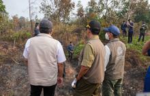 Kebakaran Hutan Ogan Ilir Meluas, Kabut Asap Terlihat dari Tol Kapal Betung