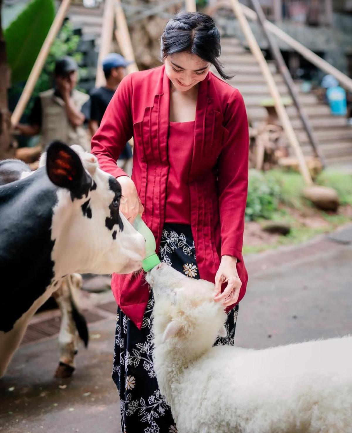 Maudy Koesnaedi Seru-Seruan di Aviary DeHakim, Kenalan dengan Salsa si Sapi hingga Kagum dengan Hutan Mini di Tengah Kota!