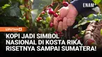 Liputan6.com berkesempatan mengunjungi kebun kopi Hacienda Alsaica di Kosta Rika, Amerika Tengah, sebuah kebun riset yang jadi rujukan dunia berkat penelitian kopinya.