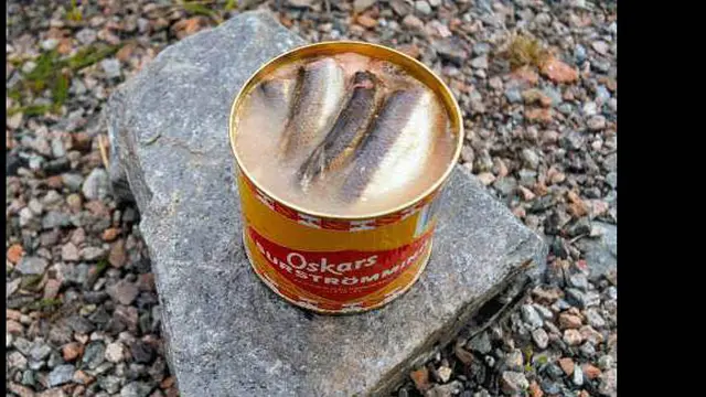 Foto: copyright openjourney.com