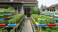 8 Inspirasi Kebun Cabai dari Botol Plastik, Bisa Percantik Halaman Rumah