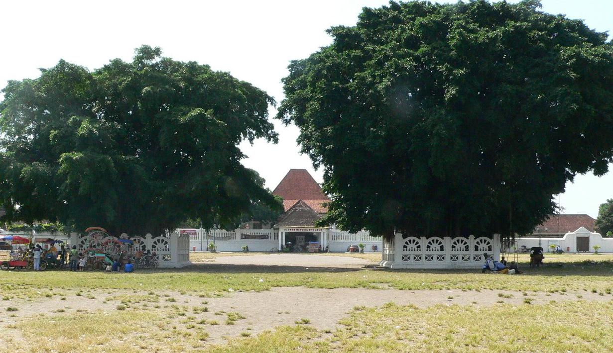 Berdasarkan mitos yang beredar di masyarakat, merujuk pada tradisi masangin itu, orang yang berhasil melewati beringin kembar dengan mata tertutup berarti hatinya bersih dan lapang (istimewa)