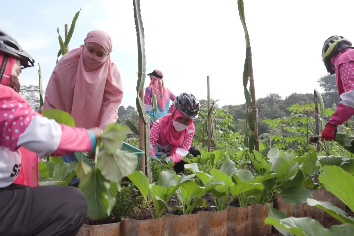 Warga Merawat Lahan Tani