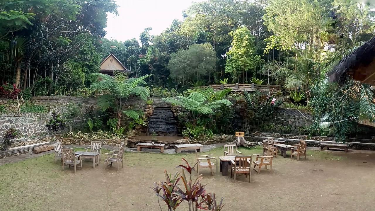 Ayo Ngopi di Alas Kopi Sambil Bicarakan Masa Depan