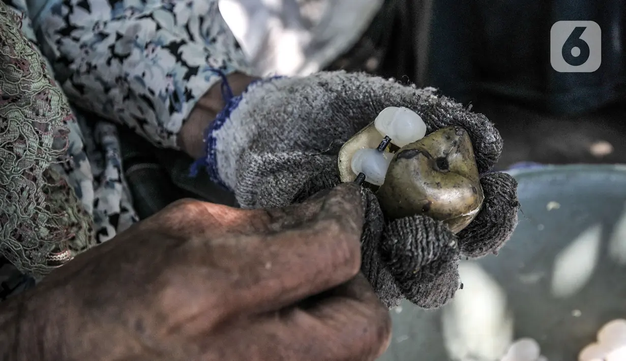 Pekerja mengupas buah aren di Kampung Citugu, Desa Puraseda, Leuwiliang, Kabupaten Bogor, Jawa Barat, Minggu (25/4/2021). Kolang-kaling dari petani dibanderol ke tengkulak dengan harga Rp 6.000-Rp 9.000 per kilogram. (merdeka.com/Iqbal S. Nugroho)