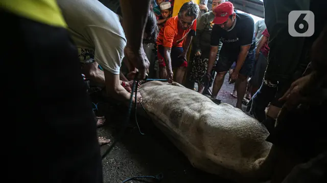 FOTO: Berbagi Daging Hewan Kurban di Momen Idul Adha