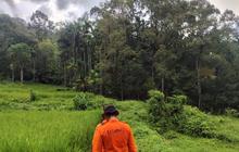 Kisah Haru Petani Hilang di Hutan Solok Selatan: Ditemukan Selamat Setelah Pencarian Dramatis