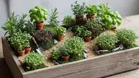 9 Ide Foodscape Kreatif dengan Microgreens dan Herbal, Cantik Sekaligus Bermanfaat
