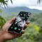 +506 Kode Negara Mana? Ternyata Milik Costa Rica, Ini Profil Lengkap dan Cara Meneleponnya