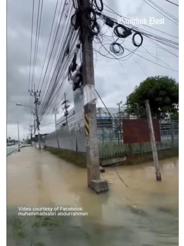 Viral Ular Piton Raksasa Berenang di Air Banjir, Diduga Telah Memangsa Anjing