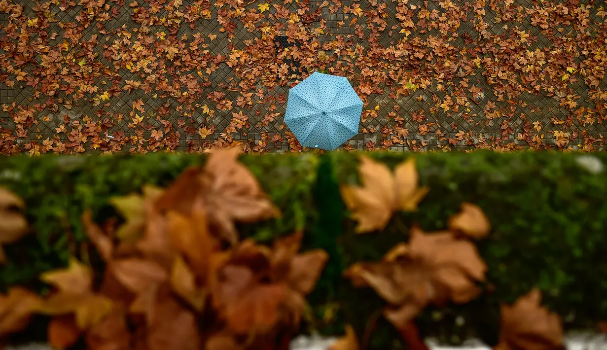 Pejalan kaki memakai payung menyusuri jalanan yang penuh dengan daun saat musim gugur di Pamplona, Spanyol, Selasa (20/11). (AP Photo/Alvaro Barrientos)