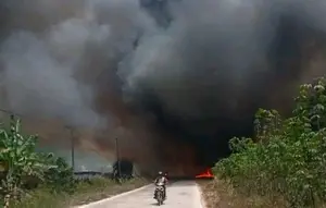 Kebakaran Lapak Kayu Merambat Hanguskan Lahan di Mesuji
