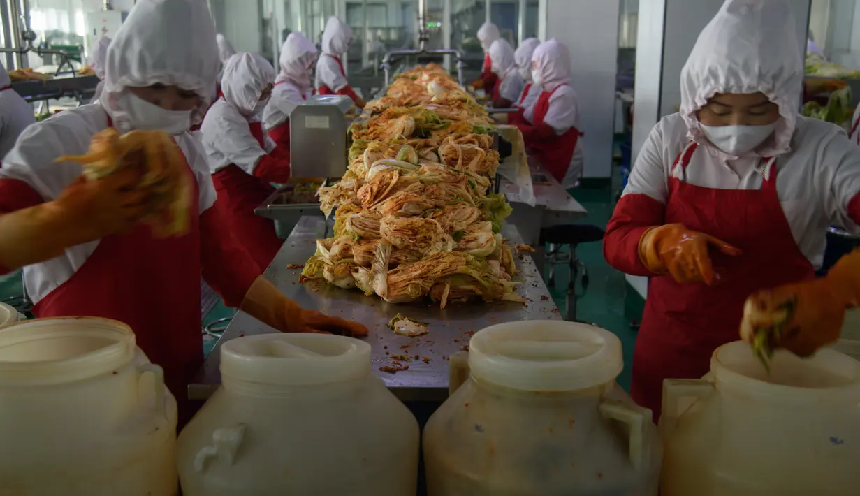 Dalam foto pada 1 Desember 2020, pekerja menyortir kubis di lini produksi pembuatan kimchi di Pabrik Kimchi Ryugyong di Pyongyang, Korea Utara. Setiap tahunnya, pabrik itu menghasilkan sekitar 4.200 ton acar khas Korea yang terbuat dari sayuran kubis yang diawetkan tersebut. (KIM Won Jin/AFP)