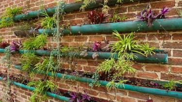 10 Ide Kreatif Manfaatkan Pipa Air Jadi Pot Bunga Taman Fashion Fimela Com