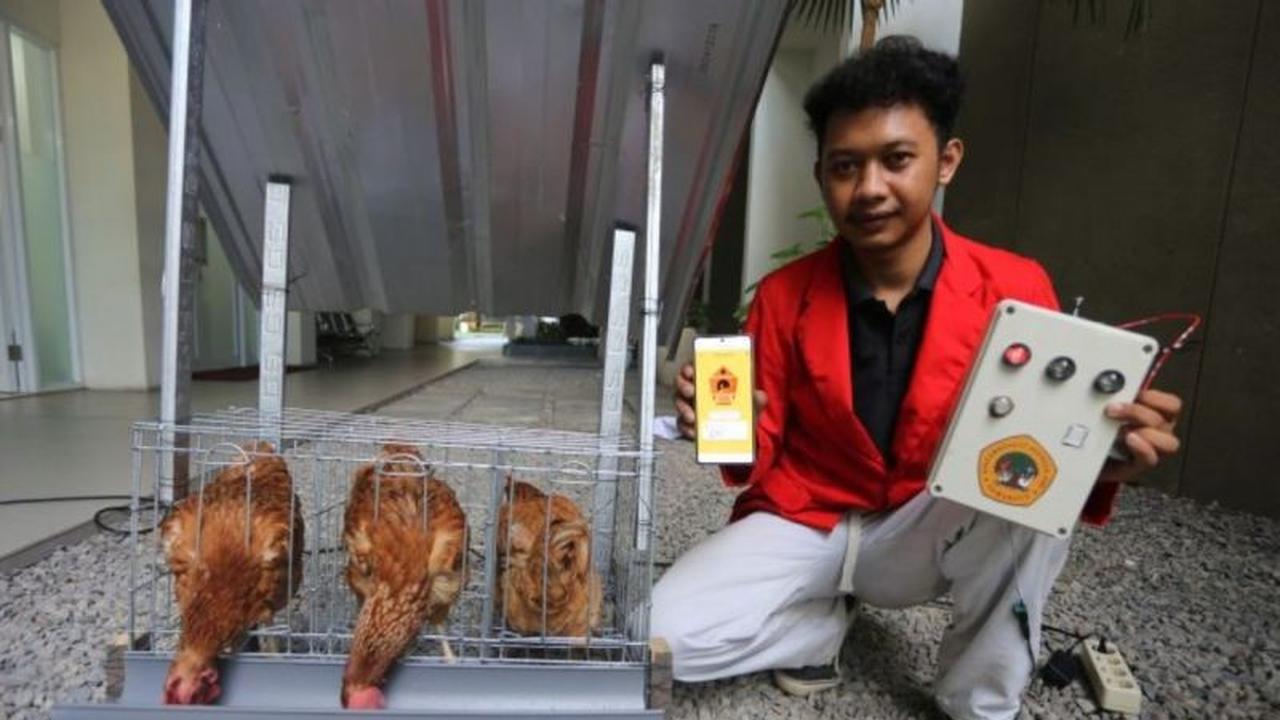 Tahukah Anda? Mahasiswa Untag Surabaya Ciptakan Sistem IoT Peternakan Ayam untuk Tingkatkan Produktivitas Telur
