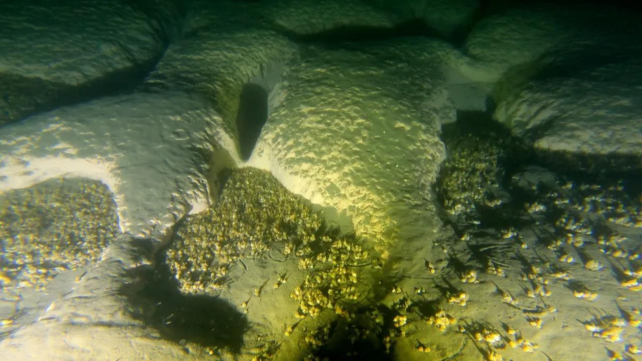 Puluhan Lubang Raksasa Ditemukan di Dasar Danau, Ilmuwan Sampai Kirim Kapal Selam karena Penasaran