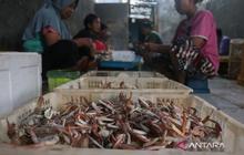 KKP Perketat Pengawasan Mutu Produk Perikanan Jelang Ramadan 2026