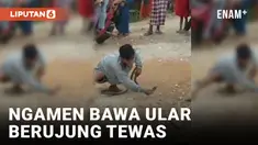 Ngamen Bawa Ular, Seorang Pria Tewas Dipatok
