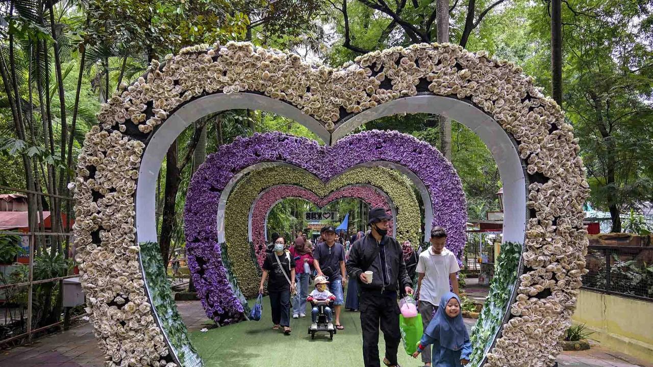 FOTO: Kebun Binatang Surabaya Jadi Pilihan Wisata Edukatif Selama Libur Akhir Tahun
