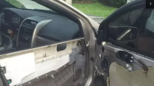 YAK COPOT AJA SEMUA~ (Sumber foto: boredpanda.com)