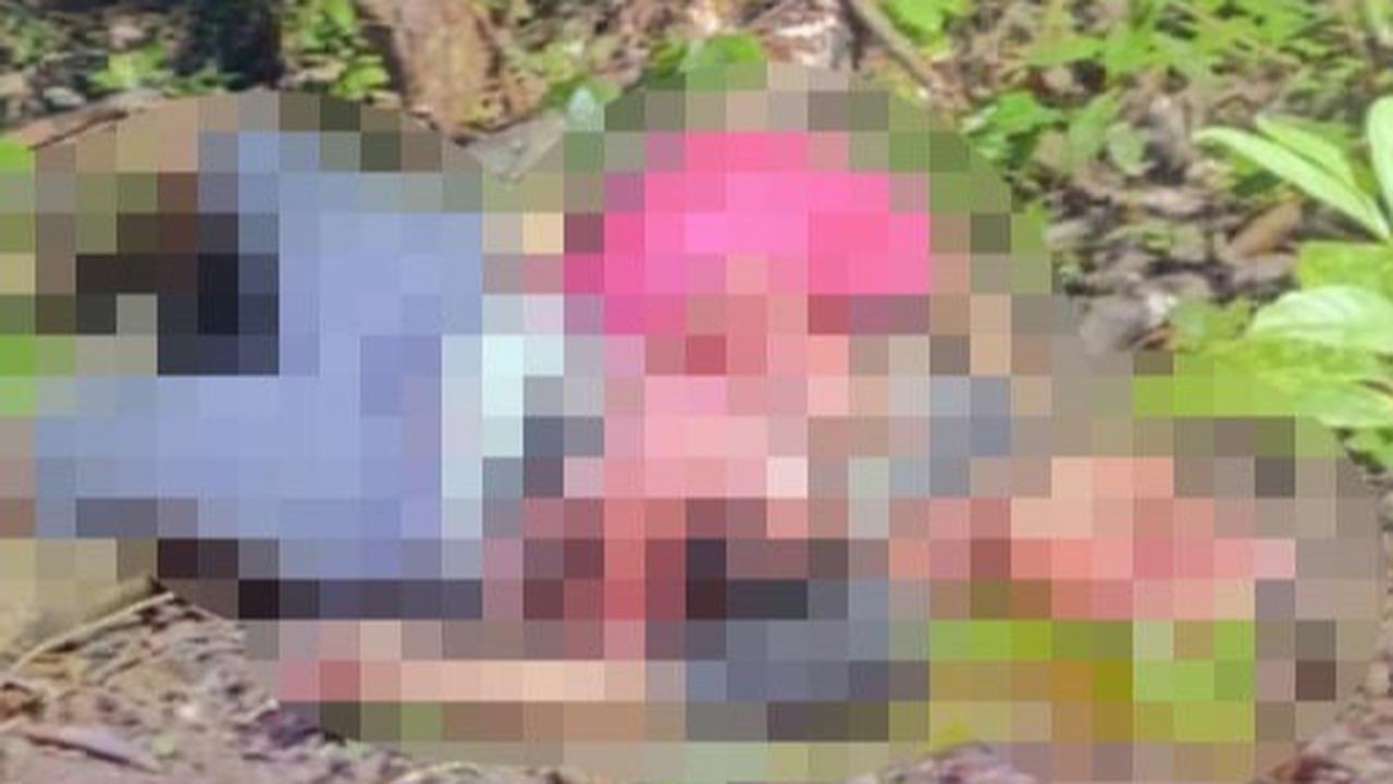Terungkap Identitas Dua Anak Tewas Tragis Berpelukan di Semak Belukar, Batok Kepala Hancur Wajah Tak Berbentuk