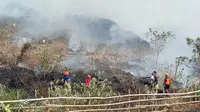 Sejumlah petugas Pemadam Kebakaran di Kabupaten Purwakarta sedang menjinakan si jago merah yang melahap kawasan hutan. Foto (Liputan6.com/Asep Mulyana)