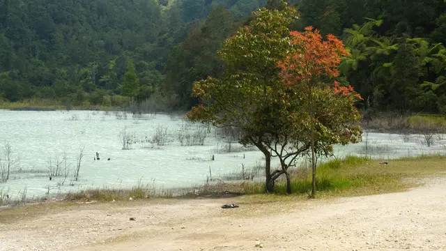 ilustrasi talaga bodas