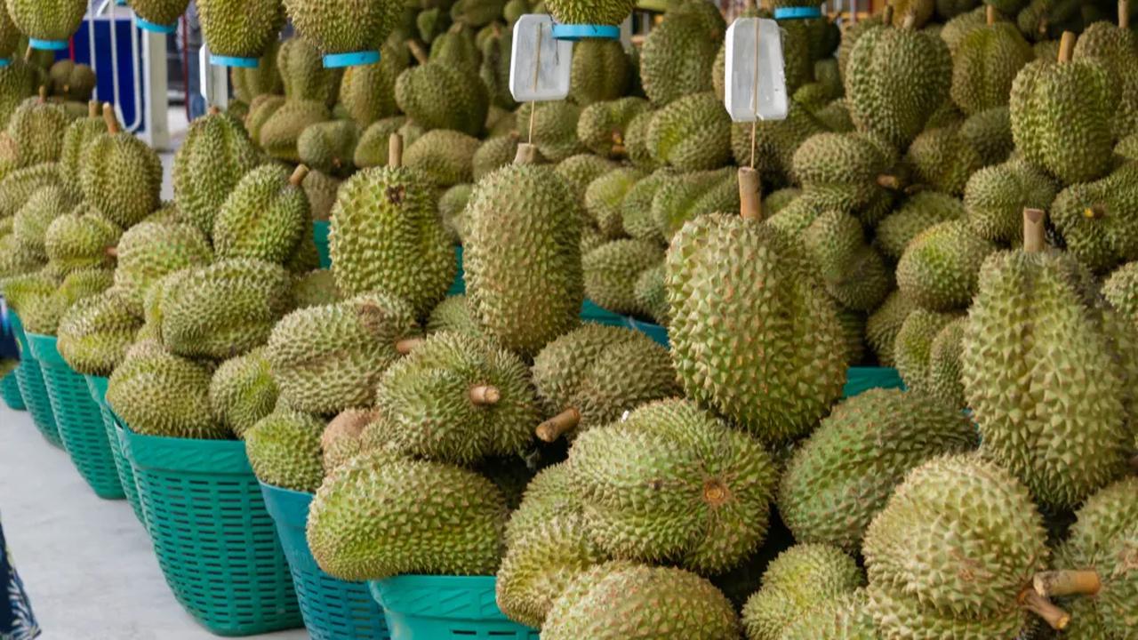 Termasuk durian unggul yang populer di Indonesia