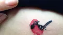 short desc