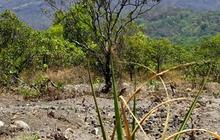 Mendaki Tanpa Pemandu, WNA Ditemukan Tewas di Puncak Gunung Agung