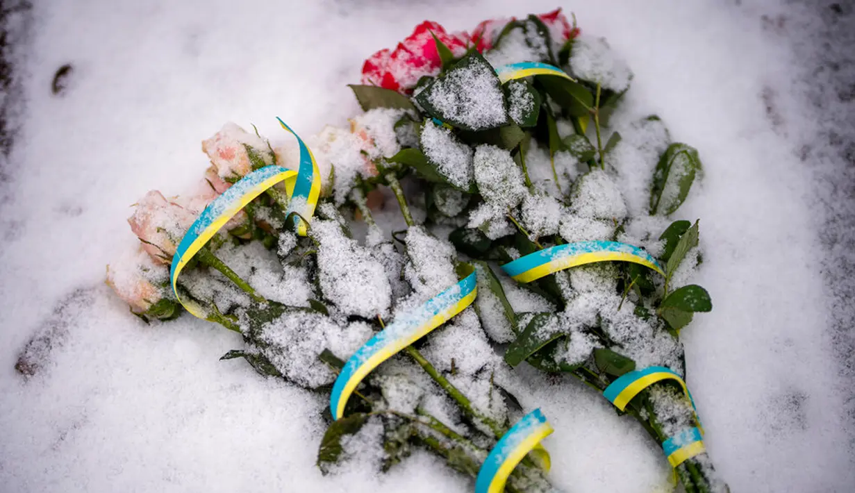 Bunga-bunga yang tertutup salju tergeletak di atas makam tentara Ukraina di pemakaman Lviv, Ukraina, 7 Februari 2023. Memasuki hari ke-350 invasi Rusia ke Ukraina, korban jiwa terus berjatuhan di antara kedua belah pihak yang berseteru. (AP Photo/Emilio Morenatti)