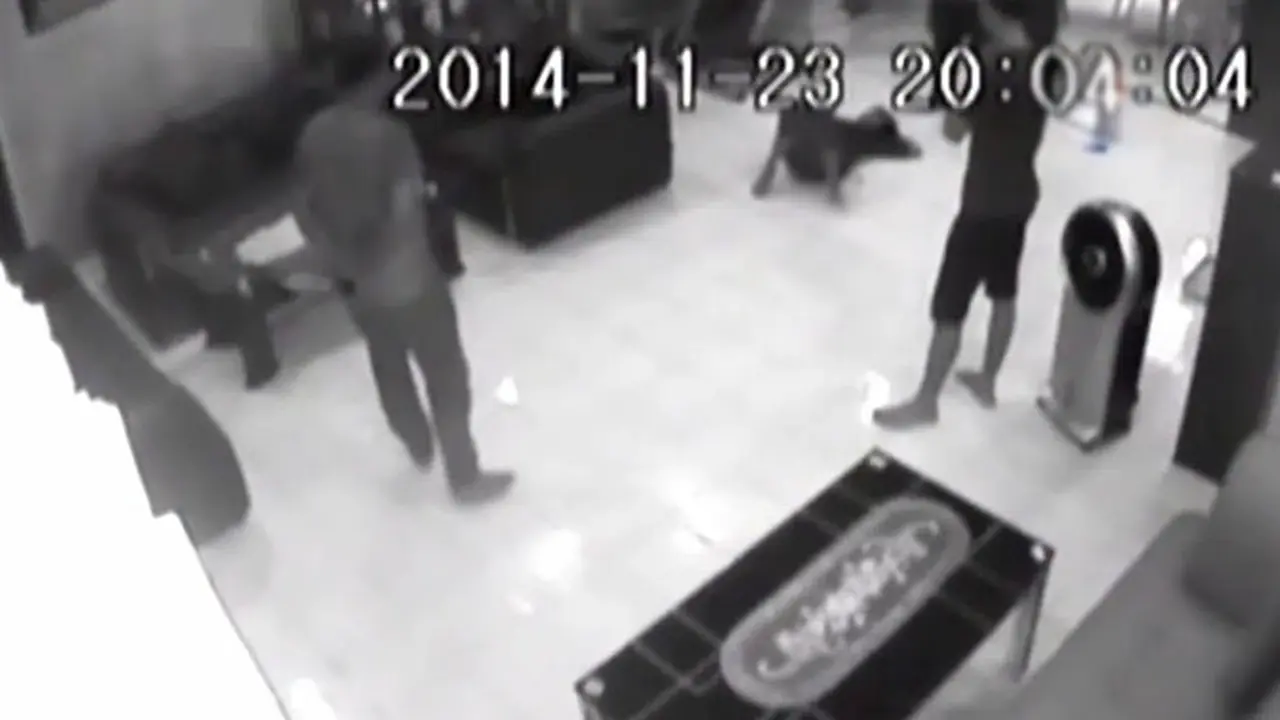(Lip6 Malam) CCTV-PRT