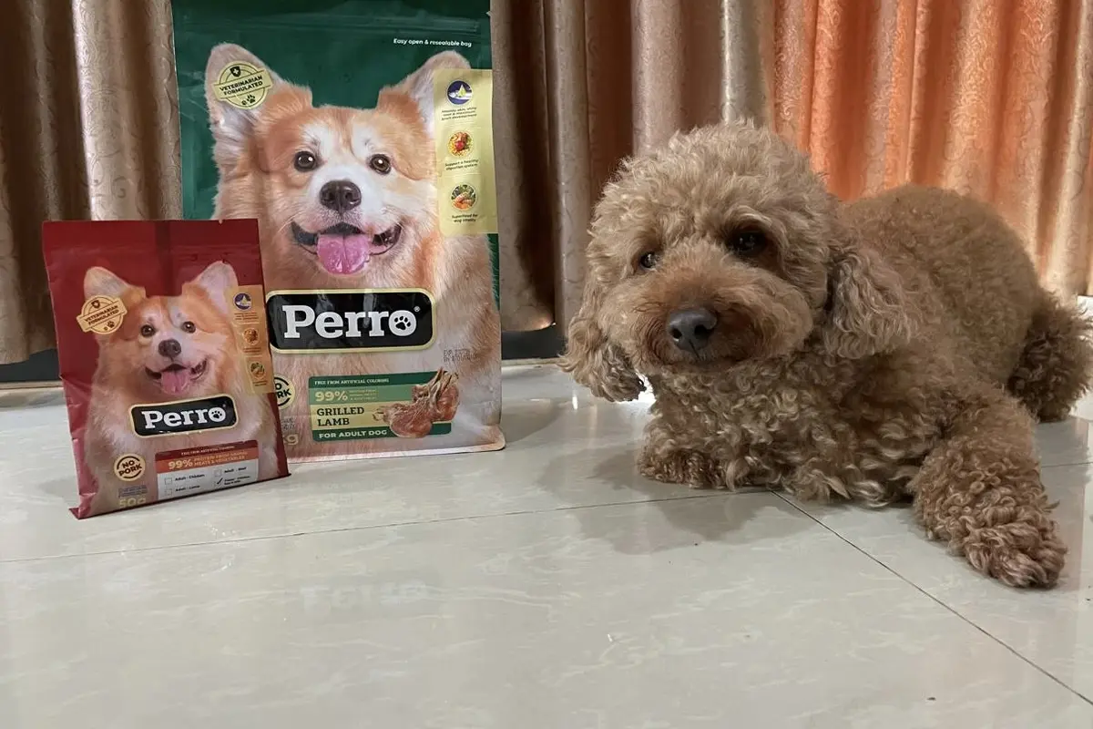 Bernutrisi Lengkap, Makanan Anjing dari Perro Diformulasikan dengan Standar Amerika