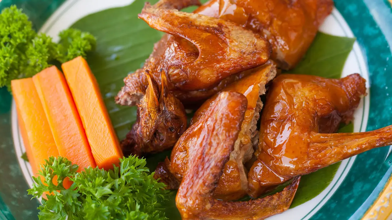 burung dara